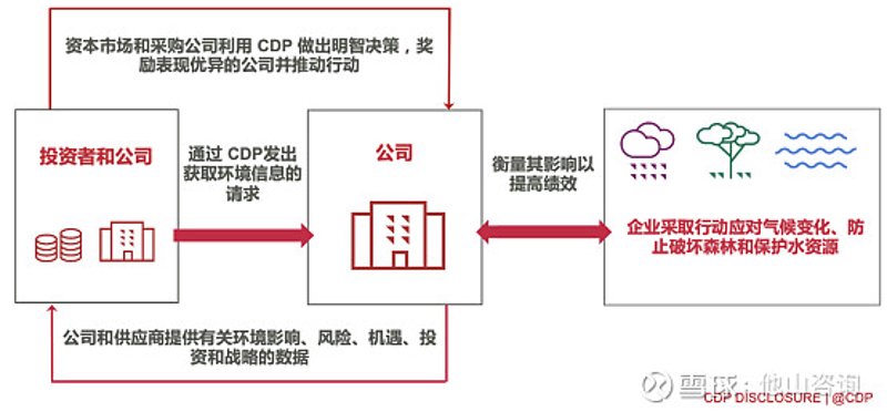 碳管理云平台:构建绿色未来的桥梁